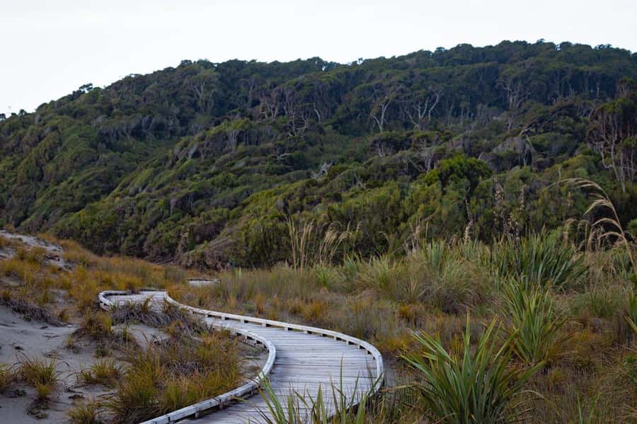 From Christchurch: 2 day tour to Queenstown via Franz Josef - Franz Josef Village overnight: make your own base