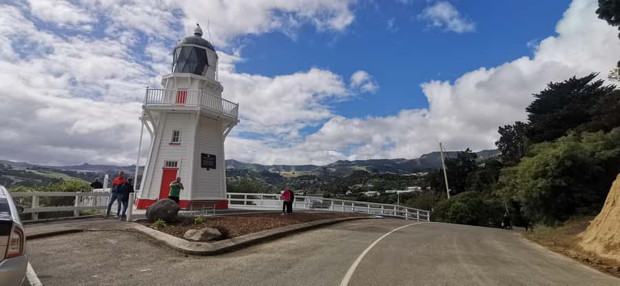 From Christchurch: Akaroa Day Tour with Optional Cruise - Key moments that make this day tour worth it
