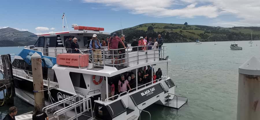 From Christchurch: Akaroa Day Tour with Optional Cruise - Christchurch to Akaroa, the scenery route you actually feel