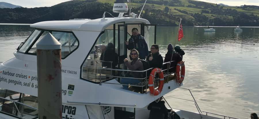From Christchurch: Akaroa Day Tour with Optional Cruise - Optional Akaroa Harbour nature cruise: where wildlife is the main event