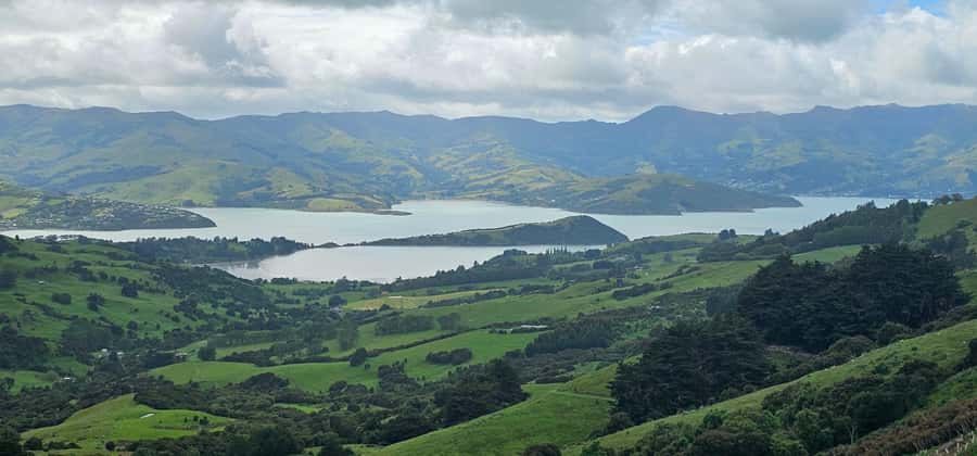 From Christchurch: Akaroa Day Tour with Optional Cruise - Price and value: does $113 per person make sense?