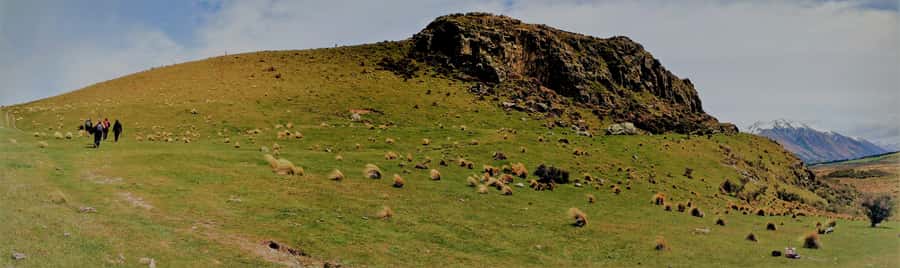 From Christchurch: Full-Day Lord of the Rings Tour to Edoras - Who This Tour Suits Best (and Who Might Skip It)