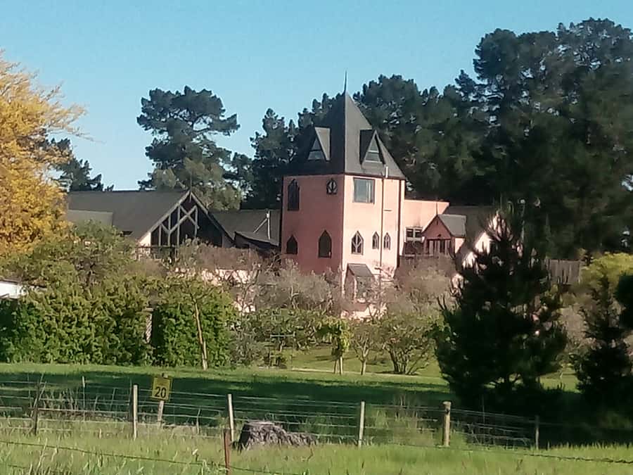 From Christchurch: Guided Local Wine Tours in Waipara - Key things I’d watch for on this Waipara tour