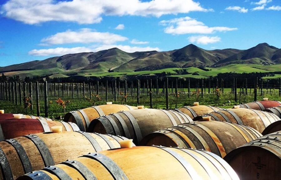 From Christchurch: Guided Local Wine Tours in Waipara - Price and value: $119 for guiding and transport, then you taste your way