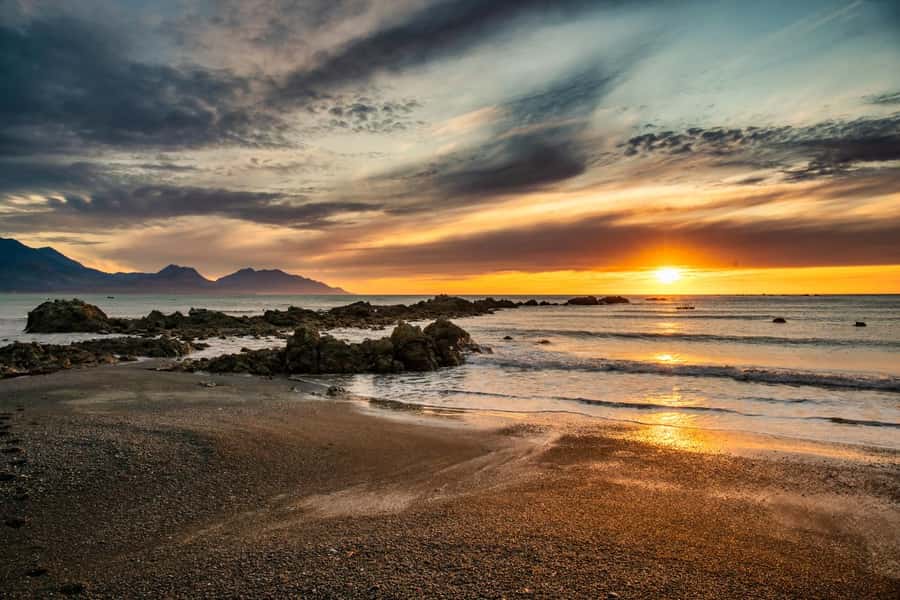 From Christchurch: Kaikōura Day Tour With Dolphin Encounter - Key Points To Know Before You Go