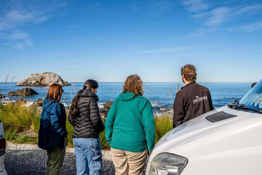 From Christchurch: Kaikōura Day Tour With Dolphin Encounter - The Drive Stops That Actually Matter