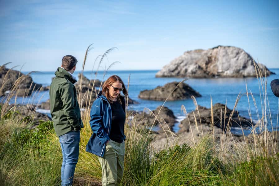 From Christchurch: Kaikōura Day Tour With Dolphin Encounter - Wine Tasting: A Nice Add-On, Not a Guaranteed Win