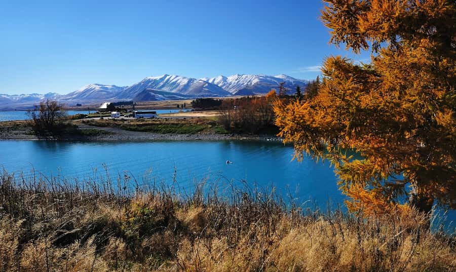 From Christchurch: Queenstown via Tekapo & Mt Cook Day Trip - Value for $238: what you get that a DIY drive would cost you in time