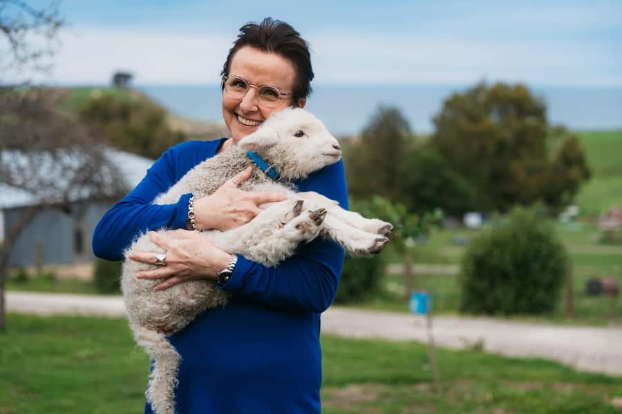 From Christchurch: Sheep Farm Day Trip with Lunch & Winery - Louise’s Lookout Picnic: Lunch With the Pacific Doing the Talking