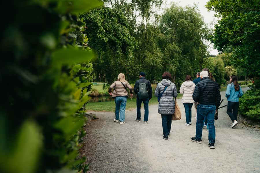 From Christchurch: Sheep Farm Day Trip with Lunch & Winery - Price and Value: What You Get for $156 in Real Terms