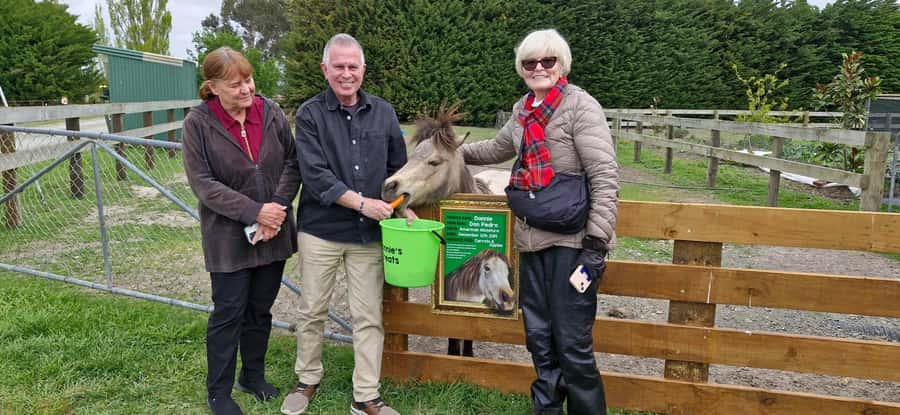 From Christchurch: Sheep Farm Day Trip with Lunch & Winery - Christchurch Pickup and the Ride North: Comfort Matters on a Short Day