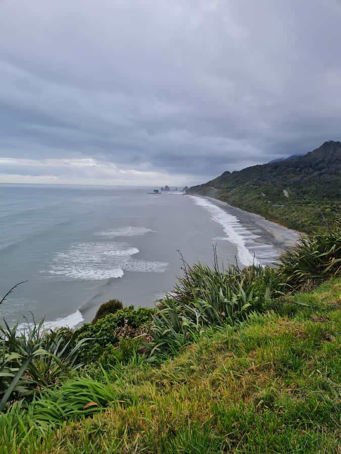 From Greymouth: Highlights West Coast Day Tour - Key Things You Will Notice on This West Coast Tour