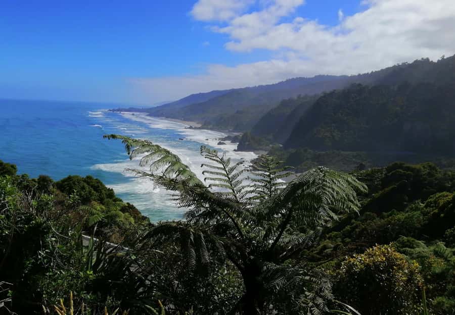 From Greymouth: Highlights West Coast Day Tour - Coast Road Photo Stops: Turning the Drive Into Part of the Experience