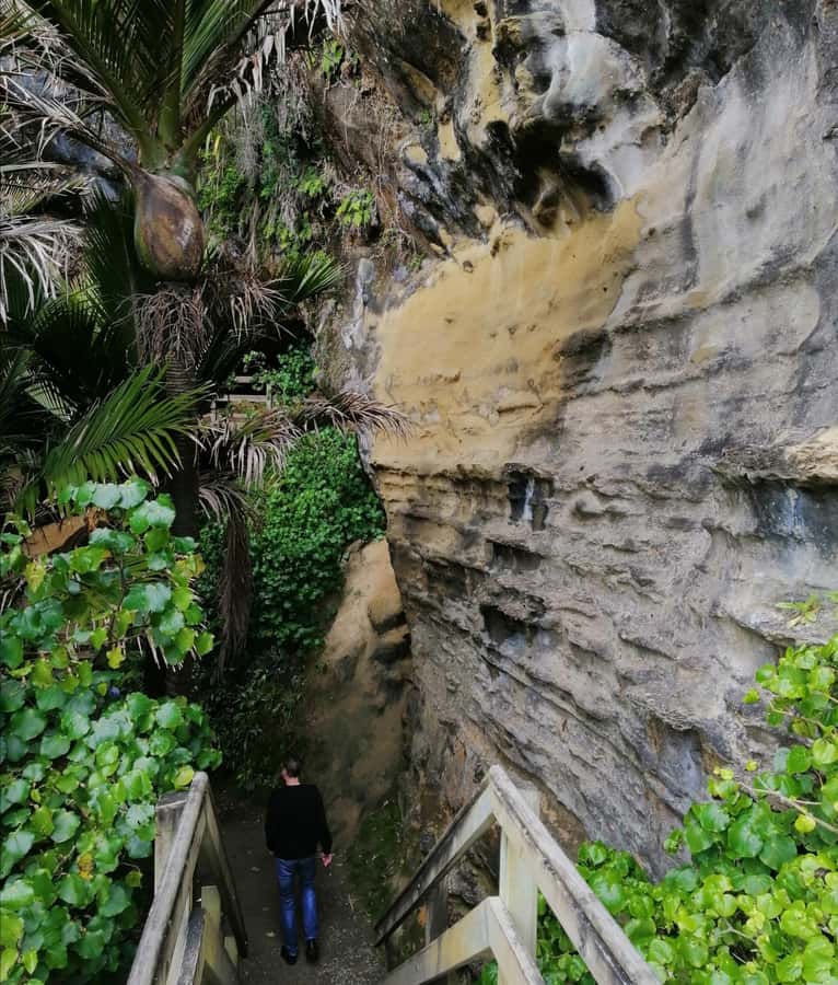 From Greymouth: Highlights West Coast Day Tour - Westport Lunch Plus Shortjaw Brewery Tasting