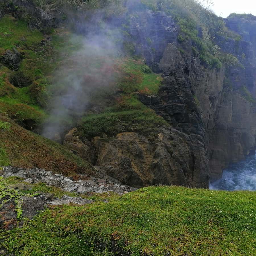 From Greymouth: Highlights West Coast Day Tour - Buller Gorge at 1.15pm: Big Scenery, Short Detour Payoff