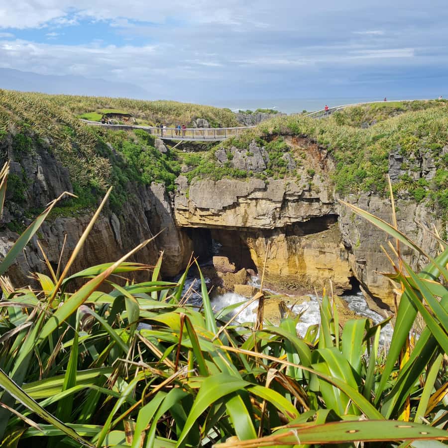 From Greymouth: Highlights West Coast Day Tour - Grey Valley Drive and Brunner Mine Site: A Scenic, Historic Finish