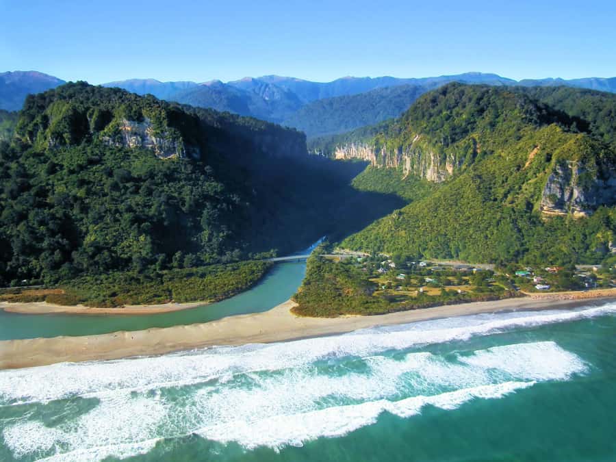 From Greymouth: Punakaiki Blowholes & Pancake Rocks Tour - Using the Interpretation Panels: Wildlife, Native Plants, and Coast Knowledge