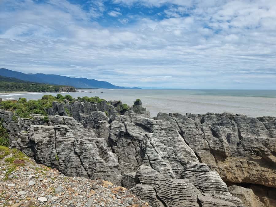From Greymouth: Punakaiki Blowholes & Pancake Rocks Tour - Cafe Time in Punakaiki: Refreshments Without the Stress