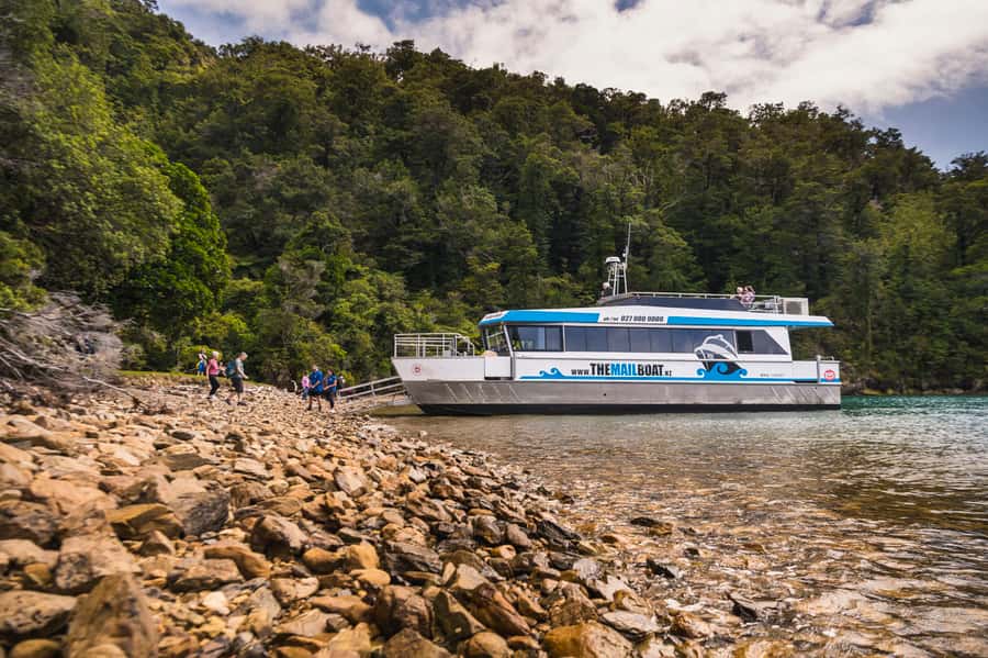 From Havelock: Marlborough Sounds Mail Boat Full-Day Cruise - Why the Pelorus Mail Boat feels more real than most cruises