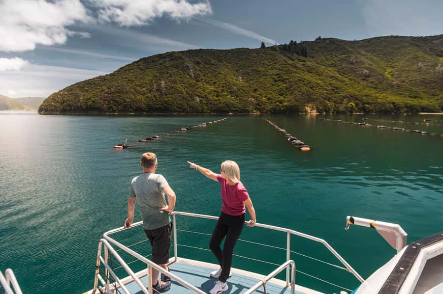 From Havelock: Marlborough Sounds Mail Boat Full-Day Cruise - Greenshell Mussel Farm tour: the highlight that depends on weather