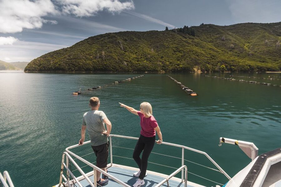 From Havelock: Marlborough Sounds Mail Boat Full-Day Cruise - Onboard crew commentary: how they keep the day interesting