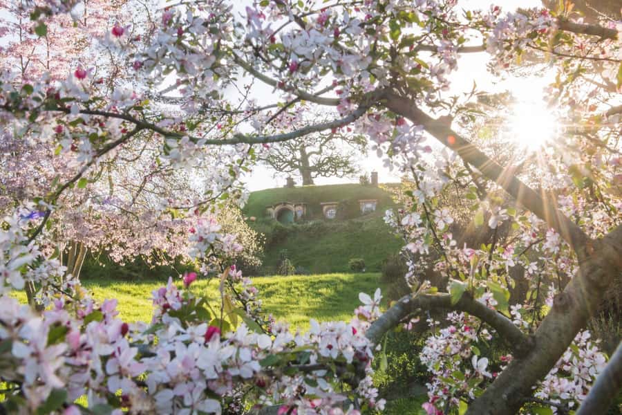 From Matamata: Guided Hobbiton Experience with Bus Transfers - Hobbit Holes and the village details that sell the illusion