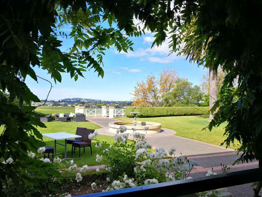 From Napier: Hawke's Bay Small Group Wine Capita Tour - Meeting at Napier, Then Pointing You Straight at Wine Country
