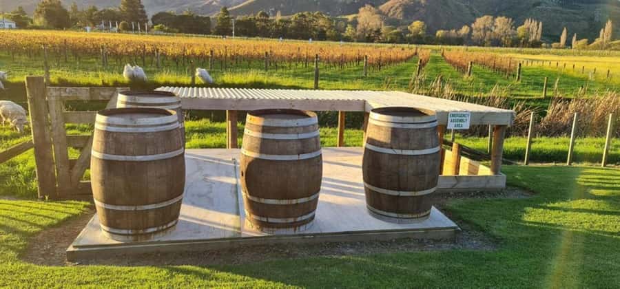 From Napier: Hawke's Bay Small Group Wine Capita Tour - The Cheese Platter, and Why It’s More Than an Afterthought