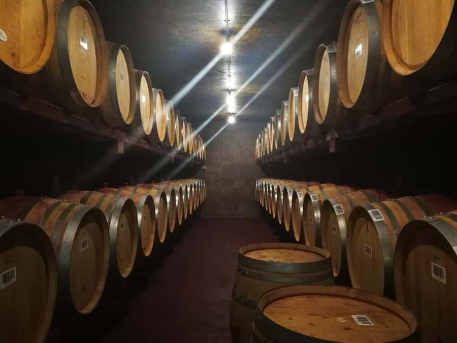 From Napier: Hawke's Bay Small Group Wine Capita Tour - Should You Book This Napier to Hawkes Bay Wine Capita Tour?