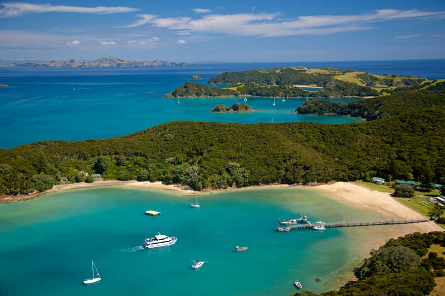 From Paihia: Full-Day Bay of Islands Cruise - Key highlights that make this cruise worth your time