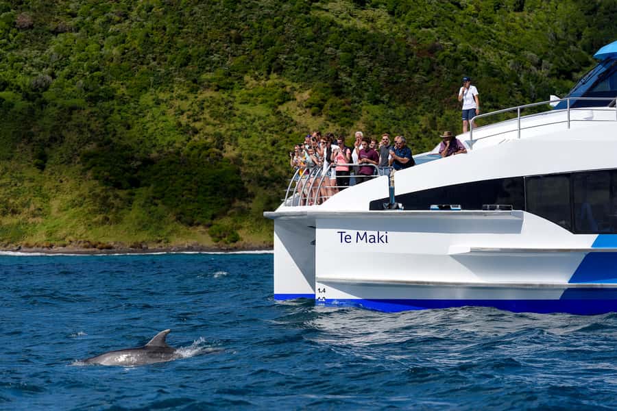 From Paihia: Full-Day Bay of Islands Cruise - What you should bring for an 8.5 hour day at sea