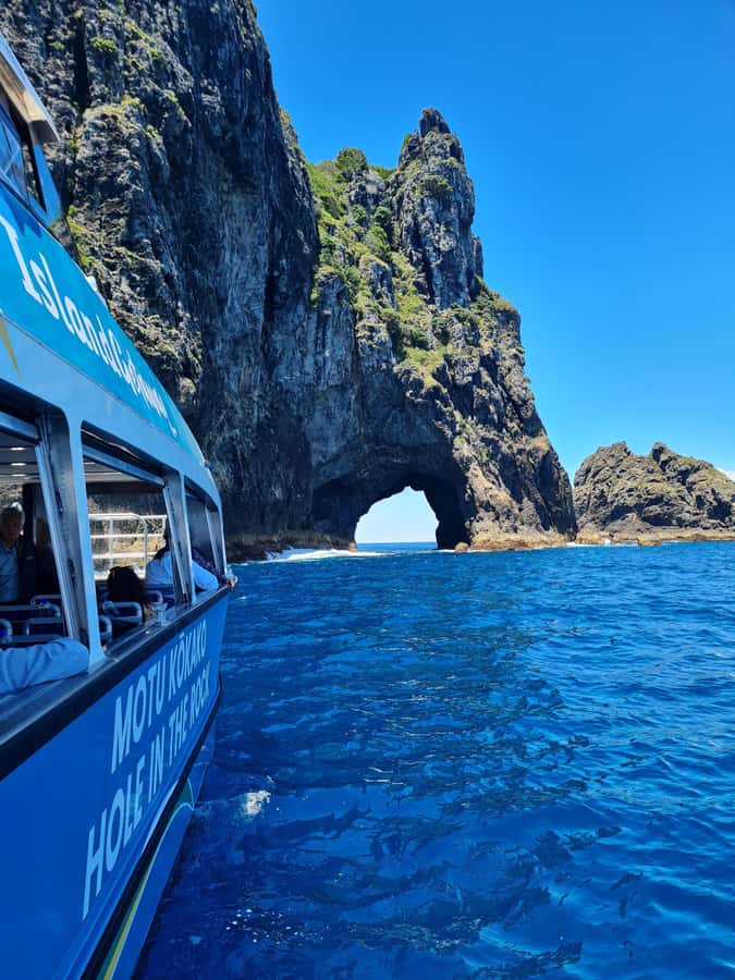 From Paihia: Hole in the Rock Cruise & Island Tour: 3 Hour - Key Points Before You Go
