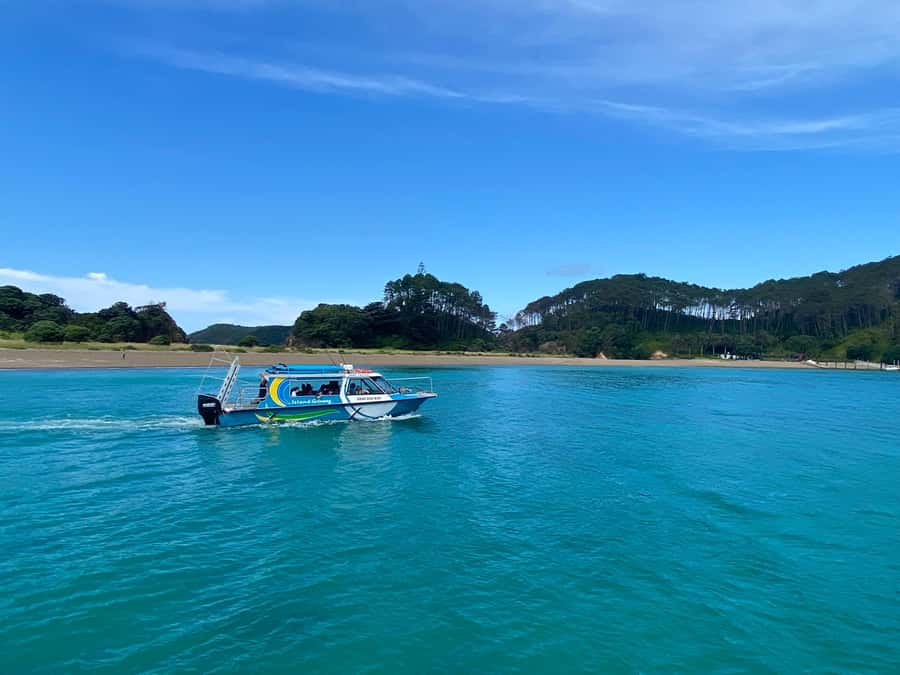 From Paihia: Hole in the Rock Cruise & Island Tour: 3 Hour - Cruising Among 144 Islands: Why the Journey Matters