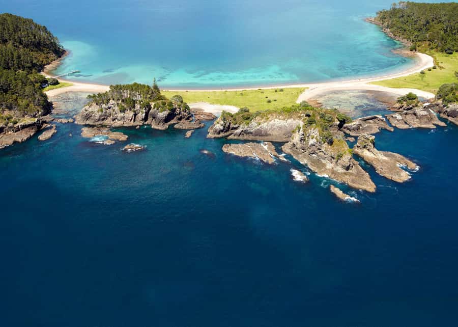 From Paihia: Hole in the Rock Cruise & Island Tour: 3 Hour - Skipper and Guide Style: Live English Commentary That Keeps It Moving
