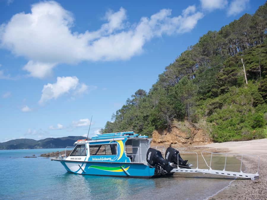 From Paihia: Hole in the Rock Cruise & Island Tour: 3 Hour - Weather Reality in the Bay: Plan for Route Changes