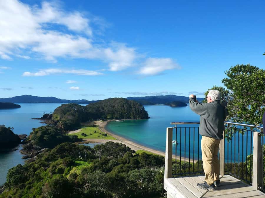 From Paihia: Hole in the Rock Cruise & Island Tour: 3 Hour - Who This Tour Fits Best (and Who Might Want Something Else)