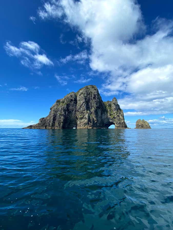 From Paihia: Hole in the Rock Cruise & Island Tour: 3 Hour - Hole in the Rock: The Archway You See Closest Up