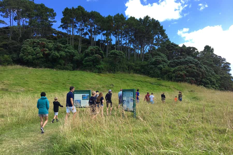 From Paihia: Scenic Cruise with Roberton Island Stopover - Key things to know before you go