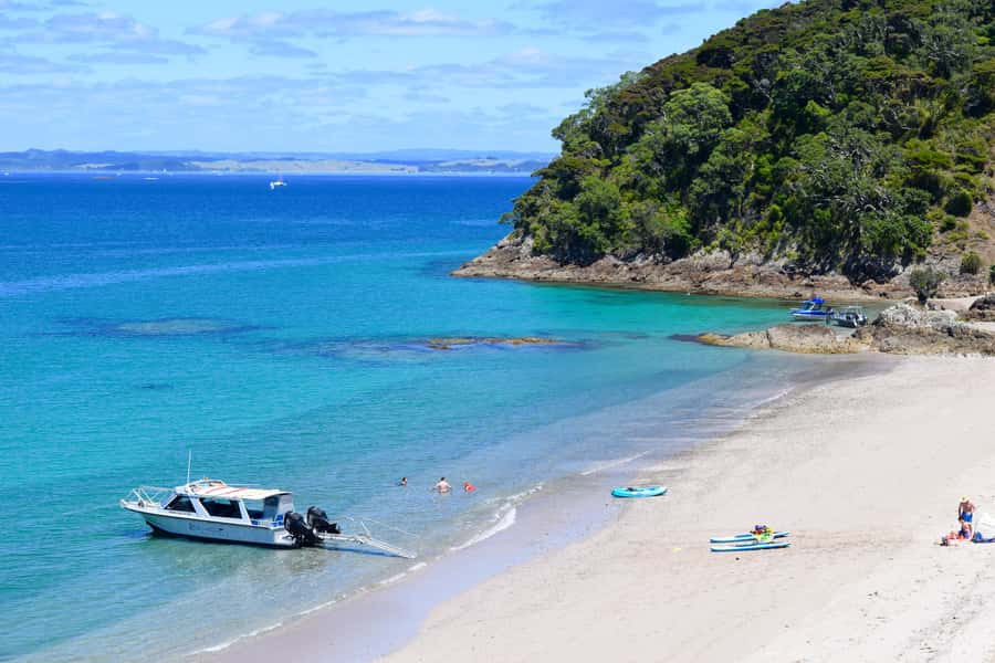 From Paihia: Scenic Cruise with Roberton Island Stopover - Paihia check-in and what happens first at Pier 10
