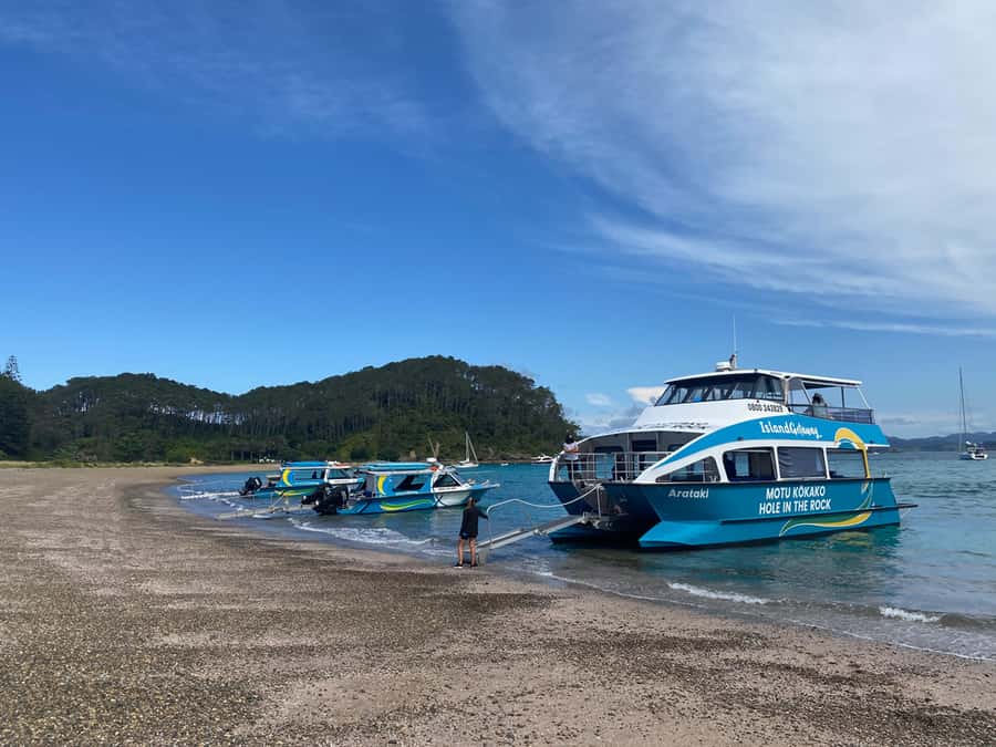From Paihia: Scenic Cruise with Roberton Island Stopover - Hole in the Rock and Cape Brett Lighthouse, what to expect when weather changes
