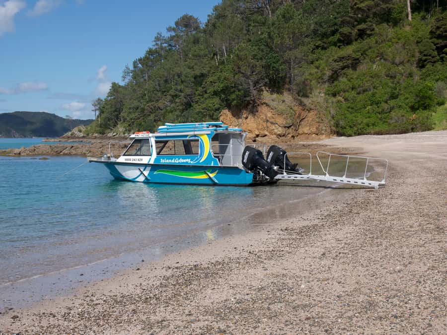 From Paihia: Scenic Cruise with Roberton Island Stopover - Snorkelling, paddle boarding, and water time you can use or skip