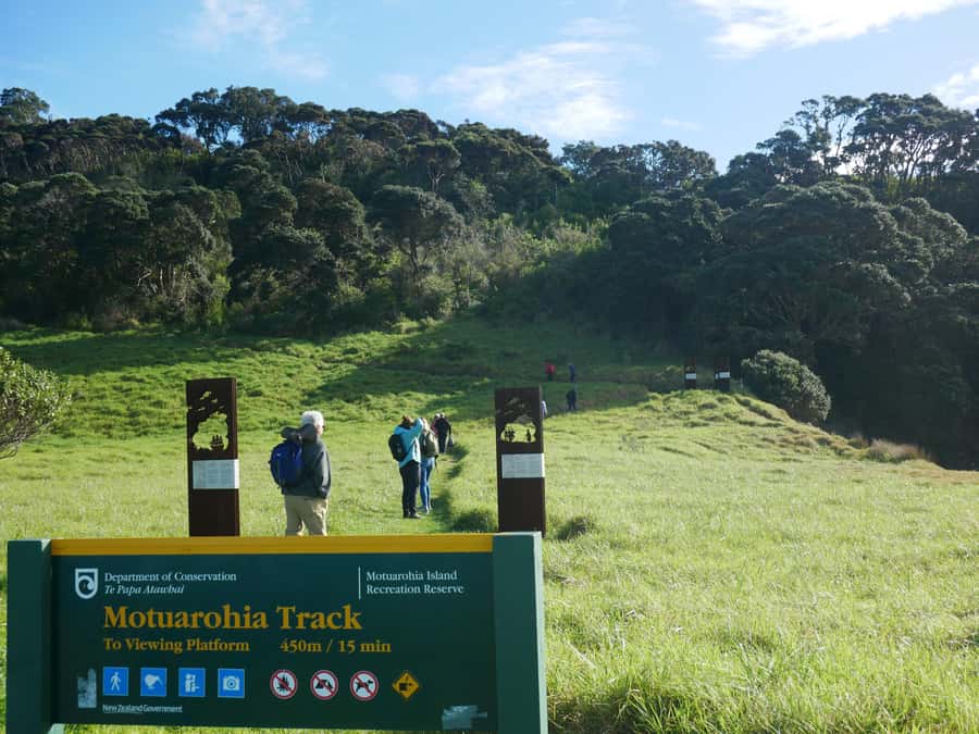 From Paihia: Scenic Cruise with Roberton Island Stopover - Price, timing, and how to plan your day in the Bay of Islands