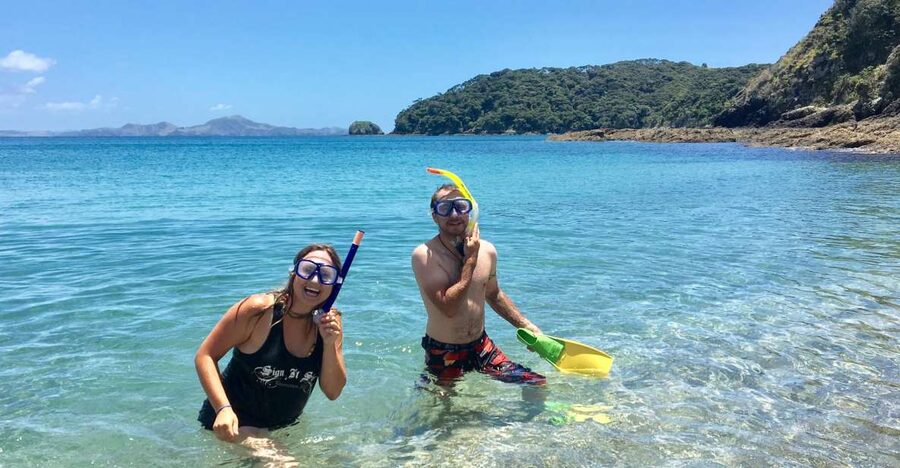 From Paihia: Scenic Cruise with Roberton Island Stopover - Who this cruise is best for