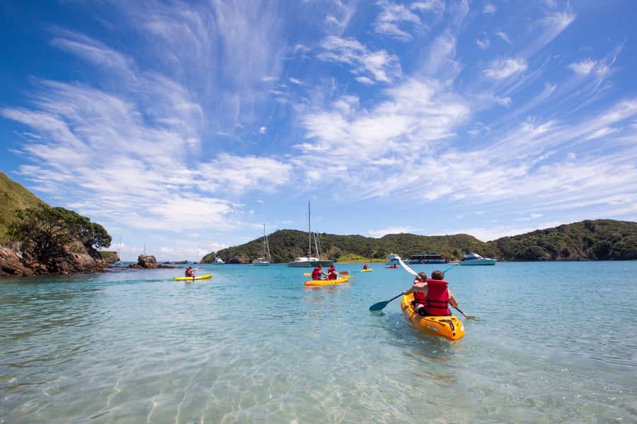 From Paihia: The Rock Adventure Overnight Cruise - Mussel gathering, sea urchins, and the bold optional bites