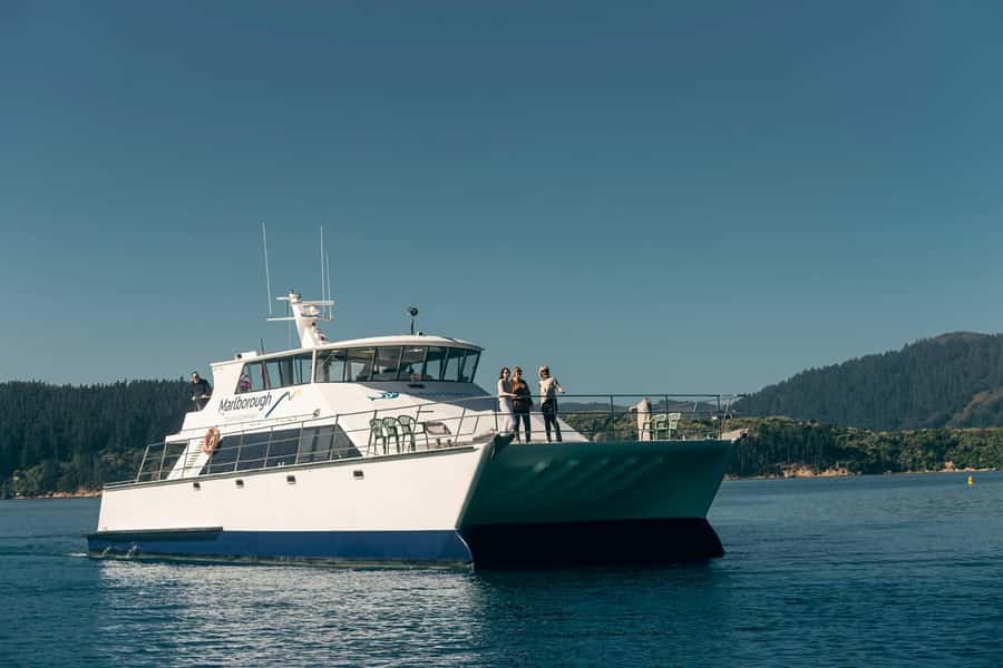 From Picton: Marlborough Sounds Cruise with Seafood - Wildlife spotting in the Marlborough Sounds