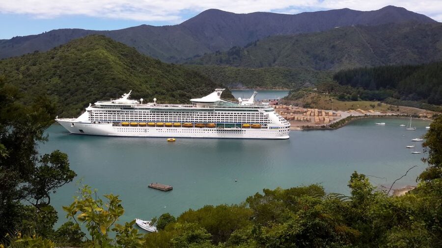 From Picton: Marlborough Wine Trip Shore Excursion - What this tour is best for