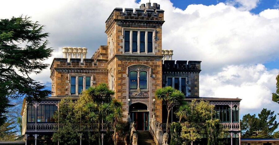 From Port Chalmers: Small Group Castle, Coast & City Tour - Port Chalmers start: a half-day that starts on time