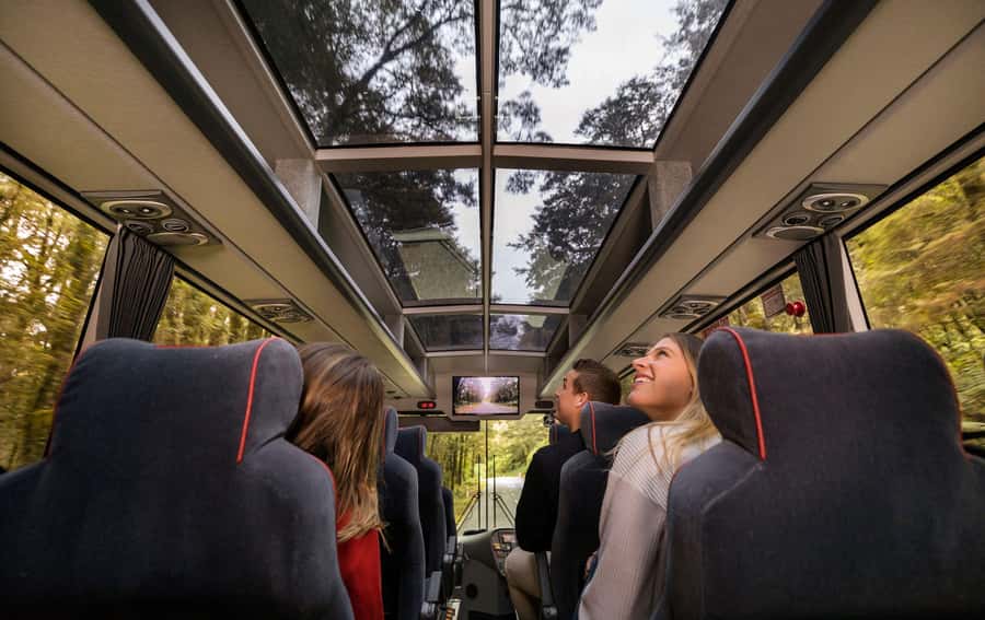 From Queenstown: Milford Sound Coach, Cruise, Scenic Flight - Milford Sound cruise, open-air decks, and wildlife odds