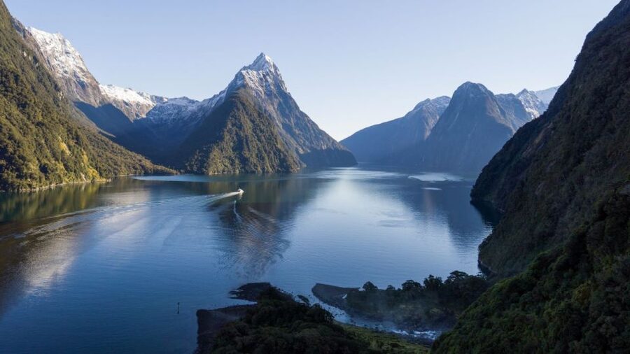 From Queenstown: Milford Sound Cruise and Coach Day Trip - Milford Sound Cruise: Wildlife, Waterfalls, and Why the Skipper Plays a Role