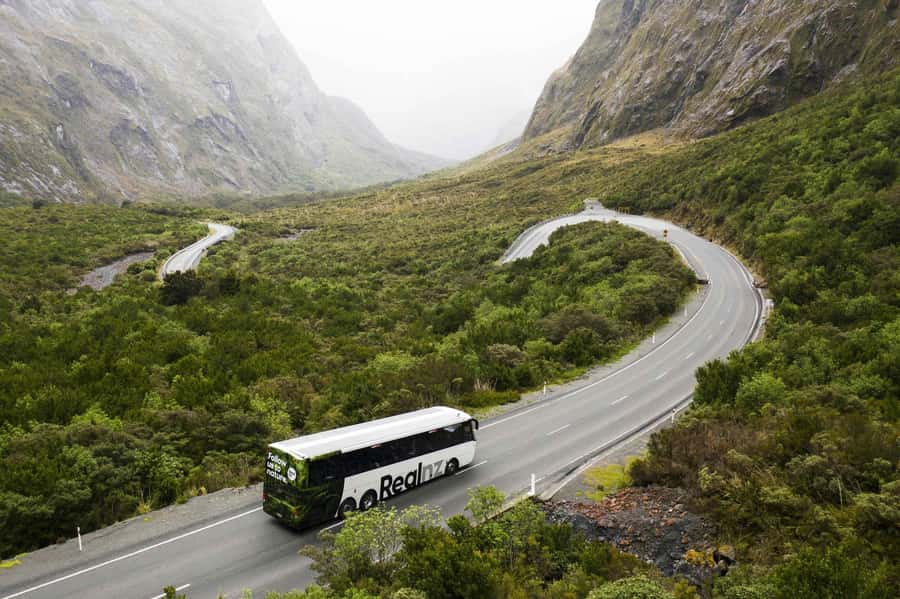 From Queenstown: Milford Sound Cruise and Coach Day Trip - The Coach Ride From Queenstown: Comfort and Photo Stops That Matter
